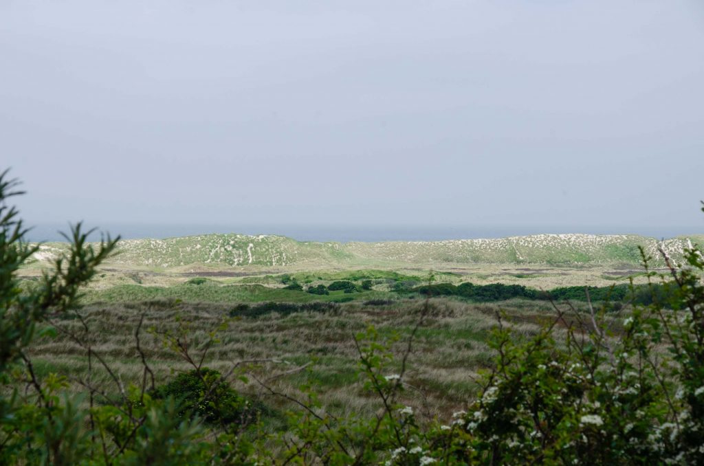 Ameland