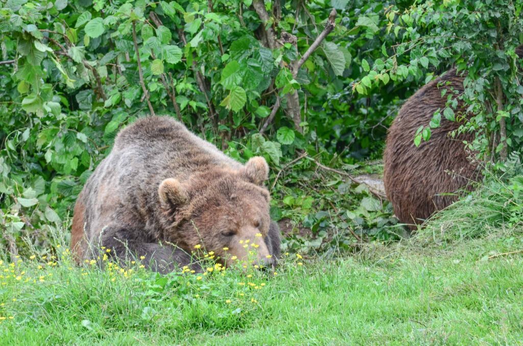 Roadtrip Slovenie Kroatie