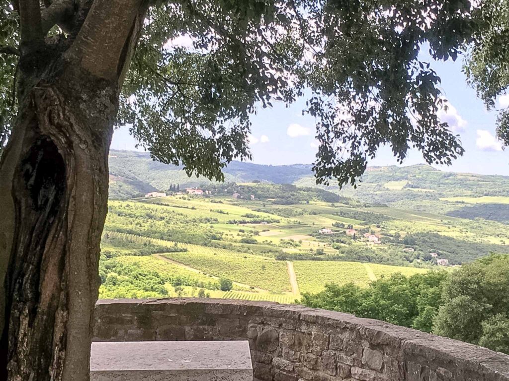 Motovun