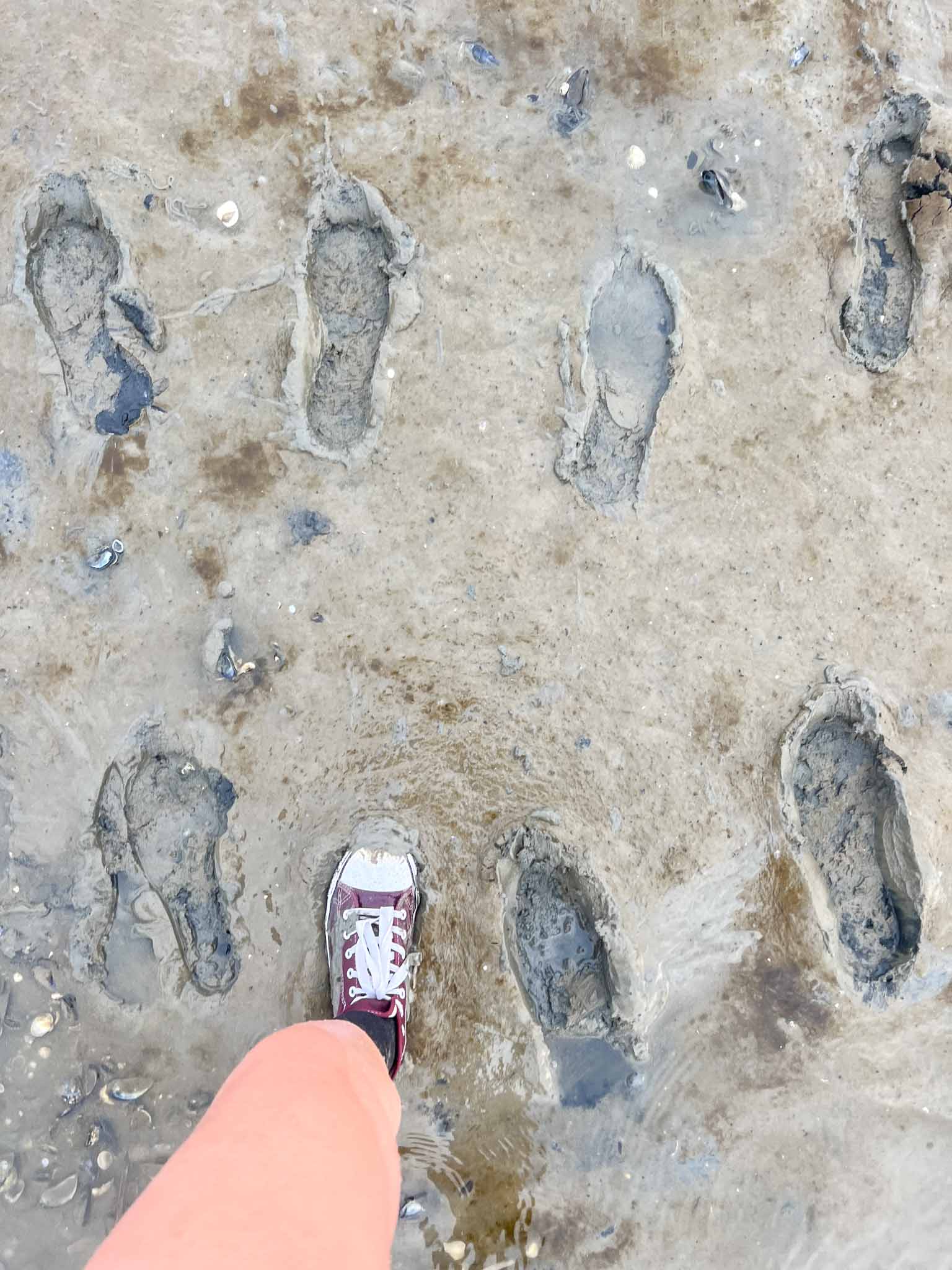 Tips voor wadlopen naar Schiermonnikoog