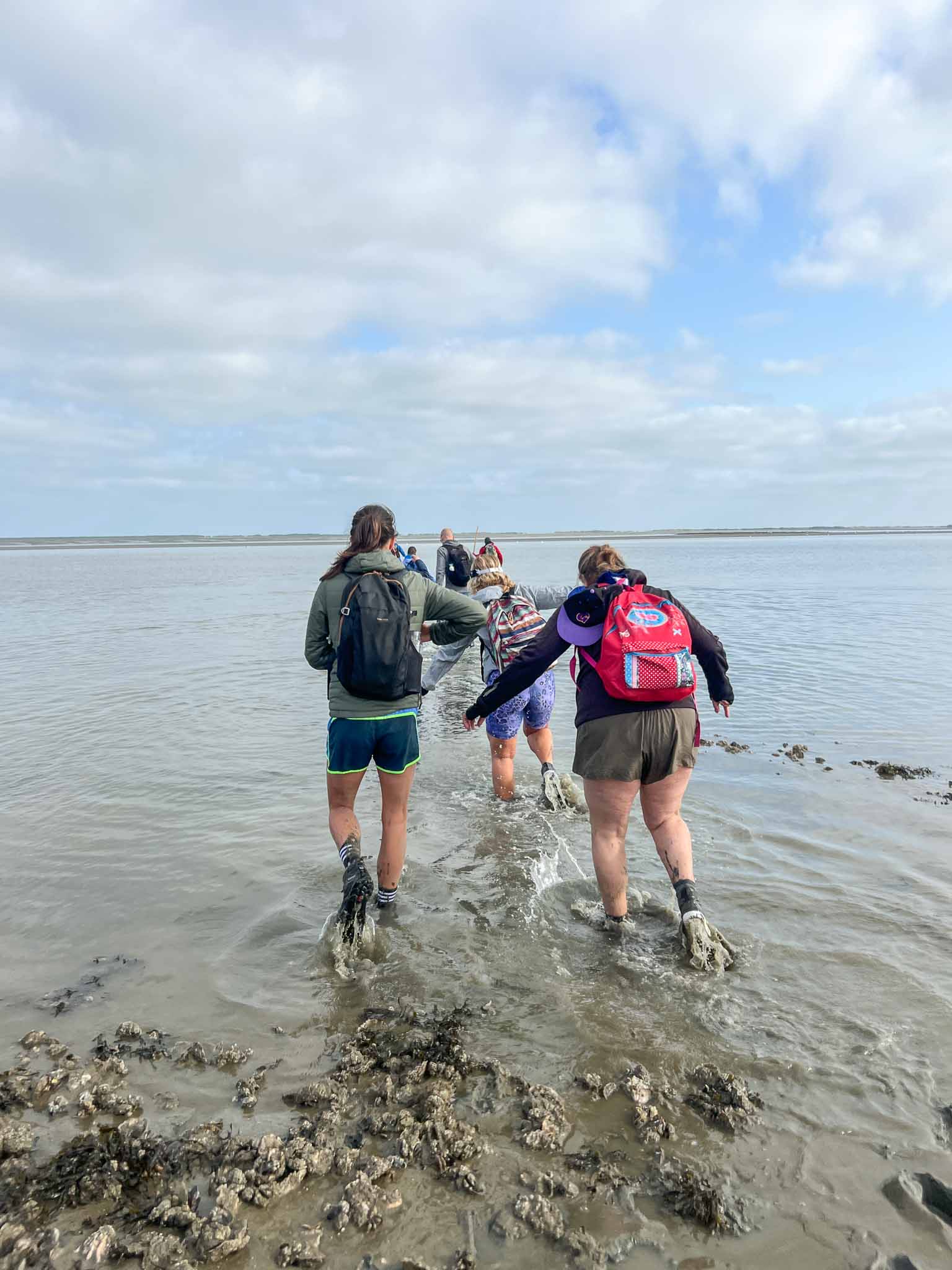 Tips voor wadlopen naar Schiermonnikoog