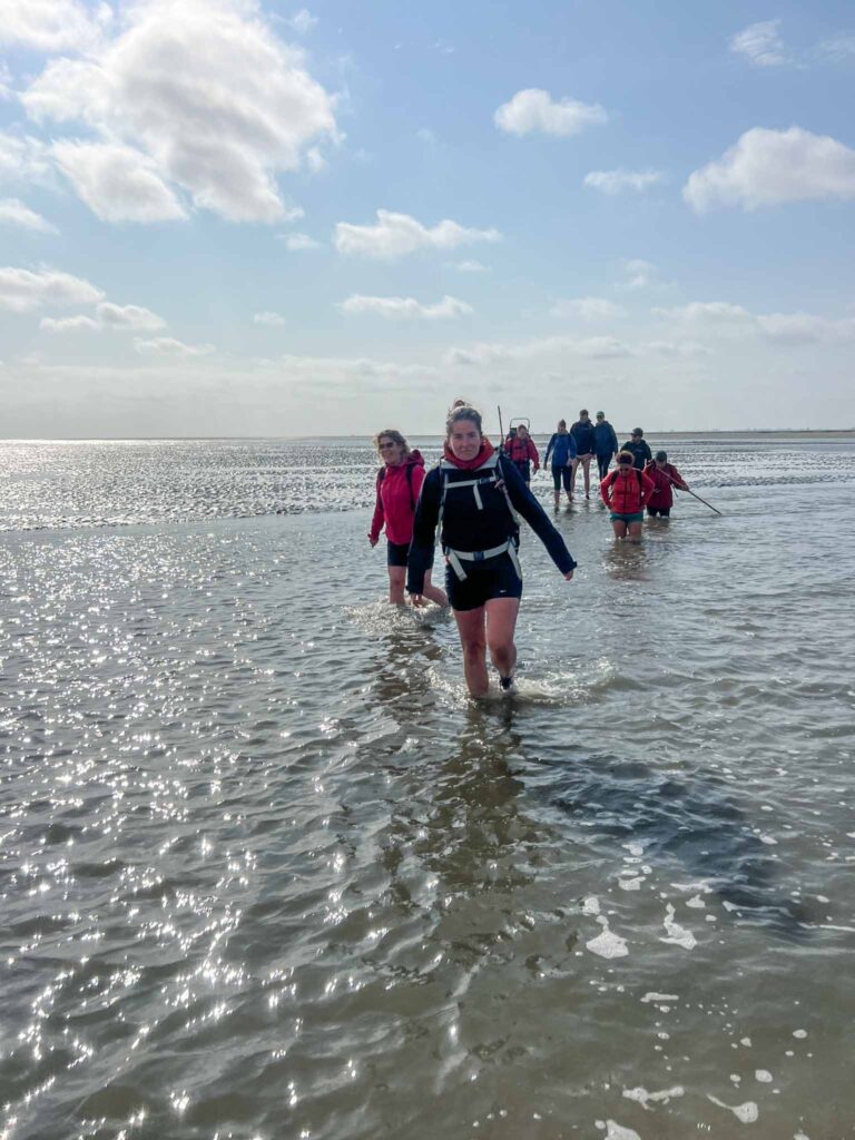 Tips voor wadlopen naar Schiermonnikoog