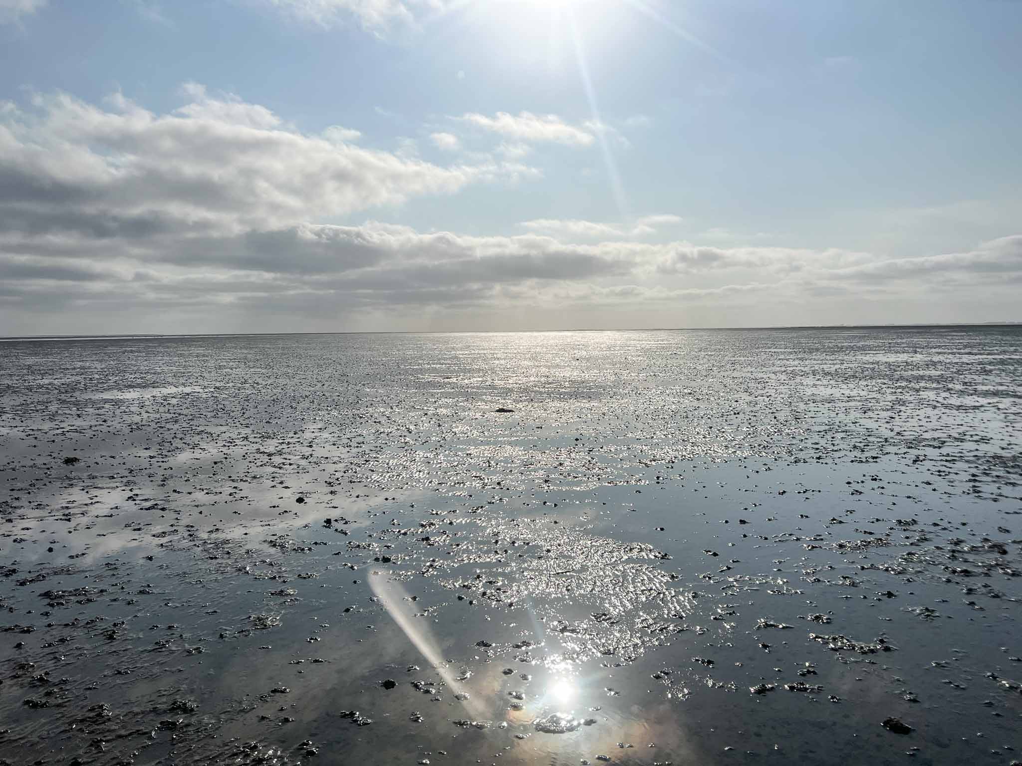 Wadlopen naar Schiermonnikoog
