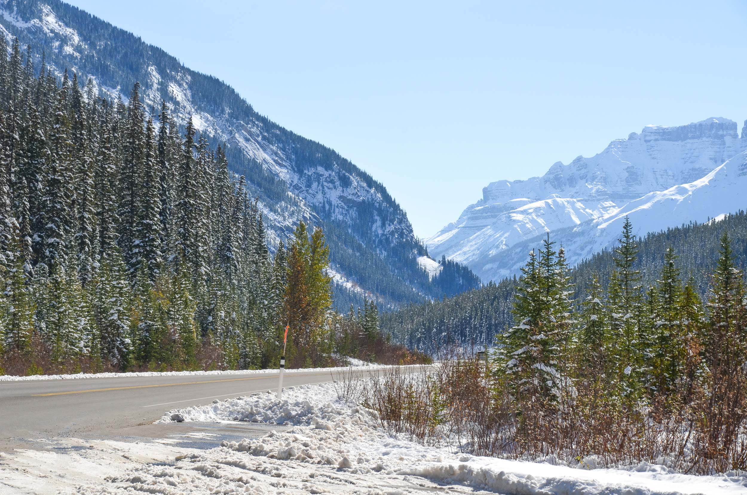 Weg op de Icefields Parkway