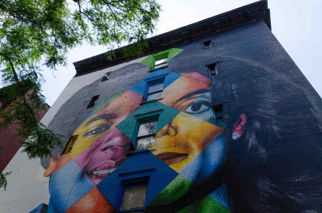 Kobra in New York