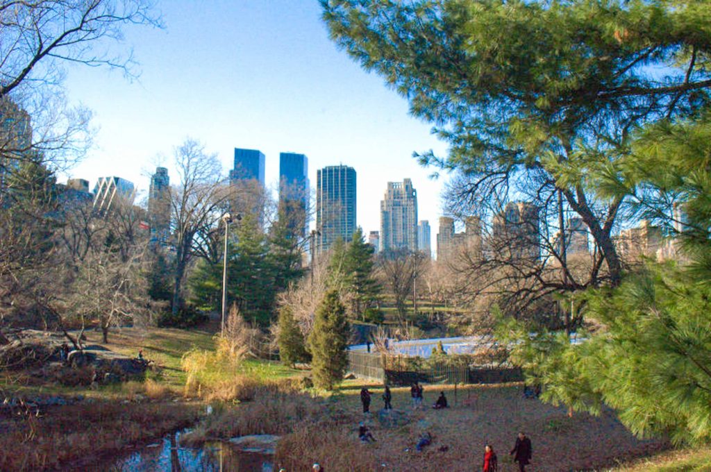 Central Park New York
