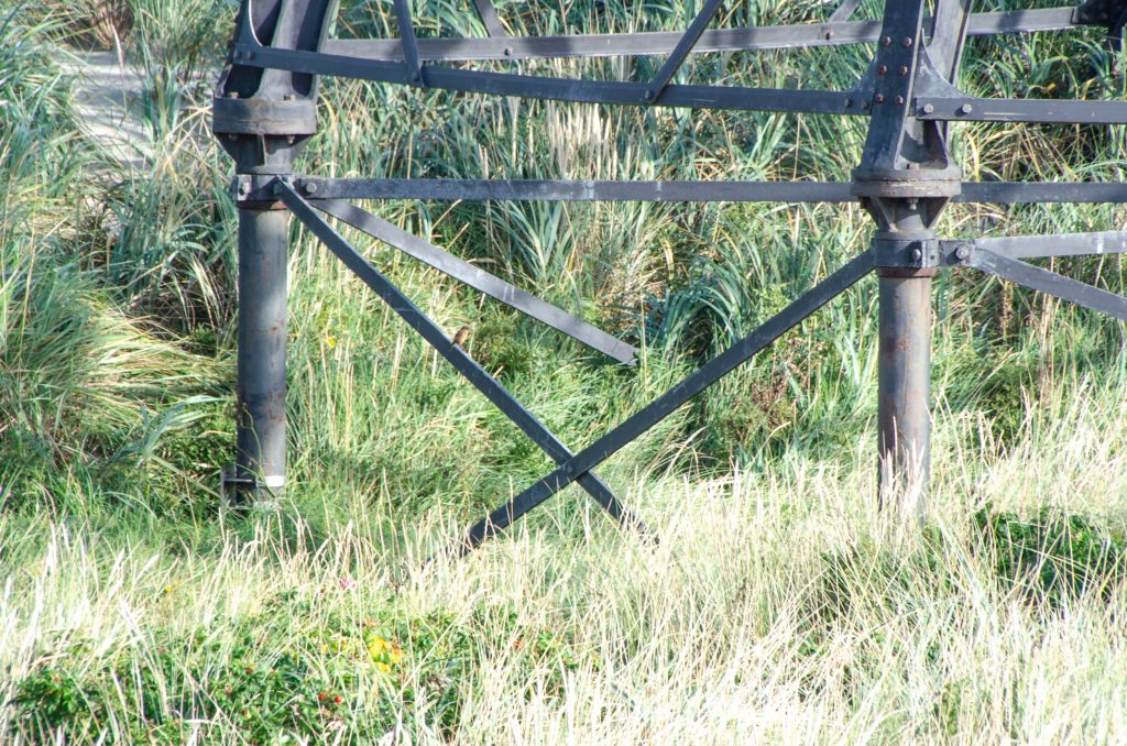 Expeditie Rottumeroog