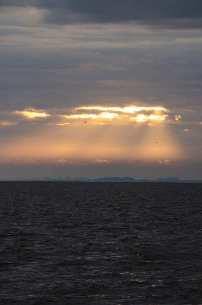 Expeditie Rottumeroog