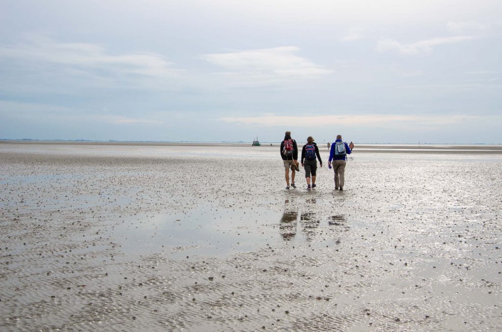 Expeditie Rottumeroog