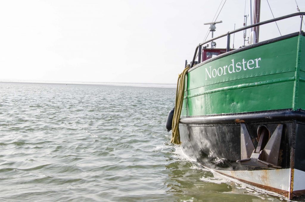 Expeditie Rottumeroog