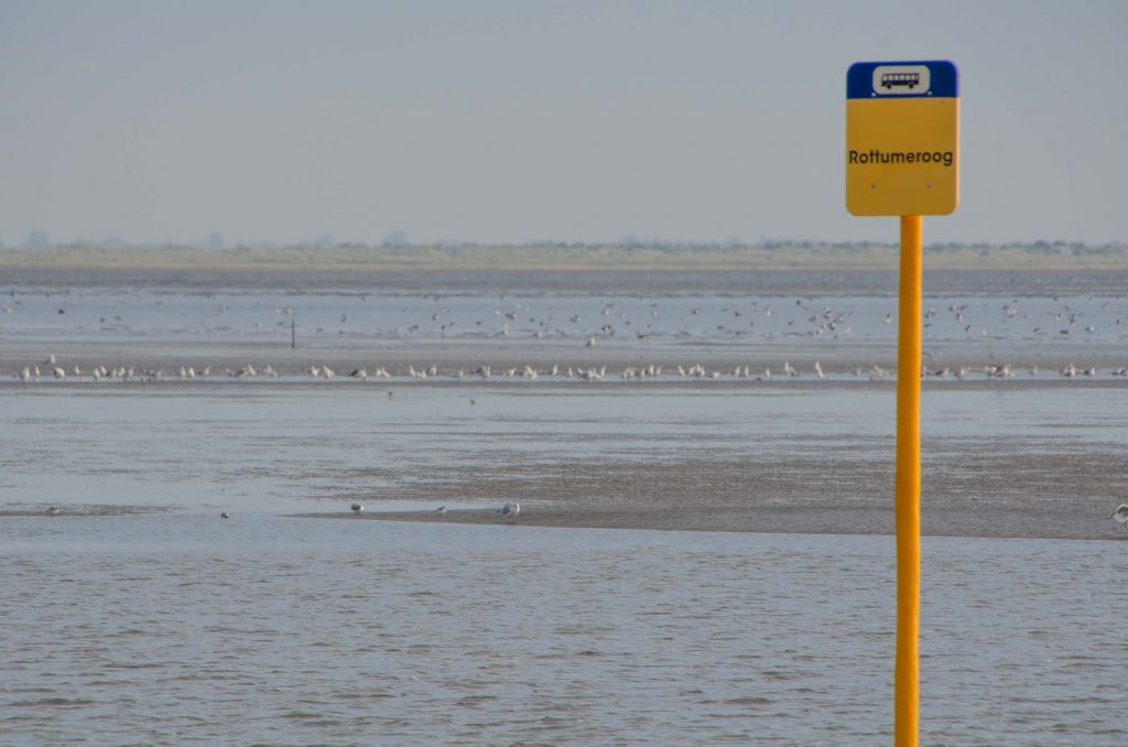 Expeditie Rottumeroog