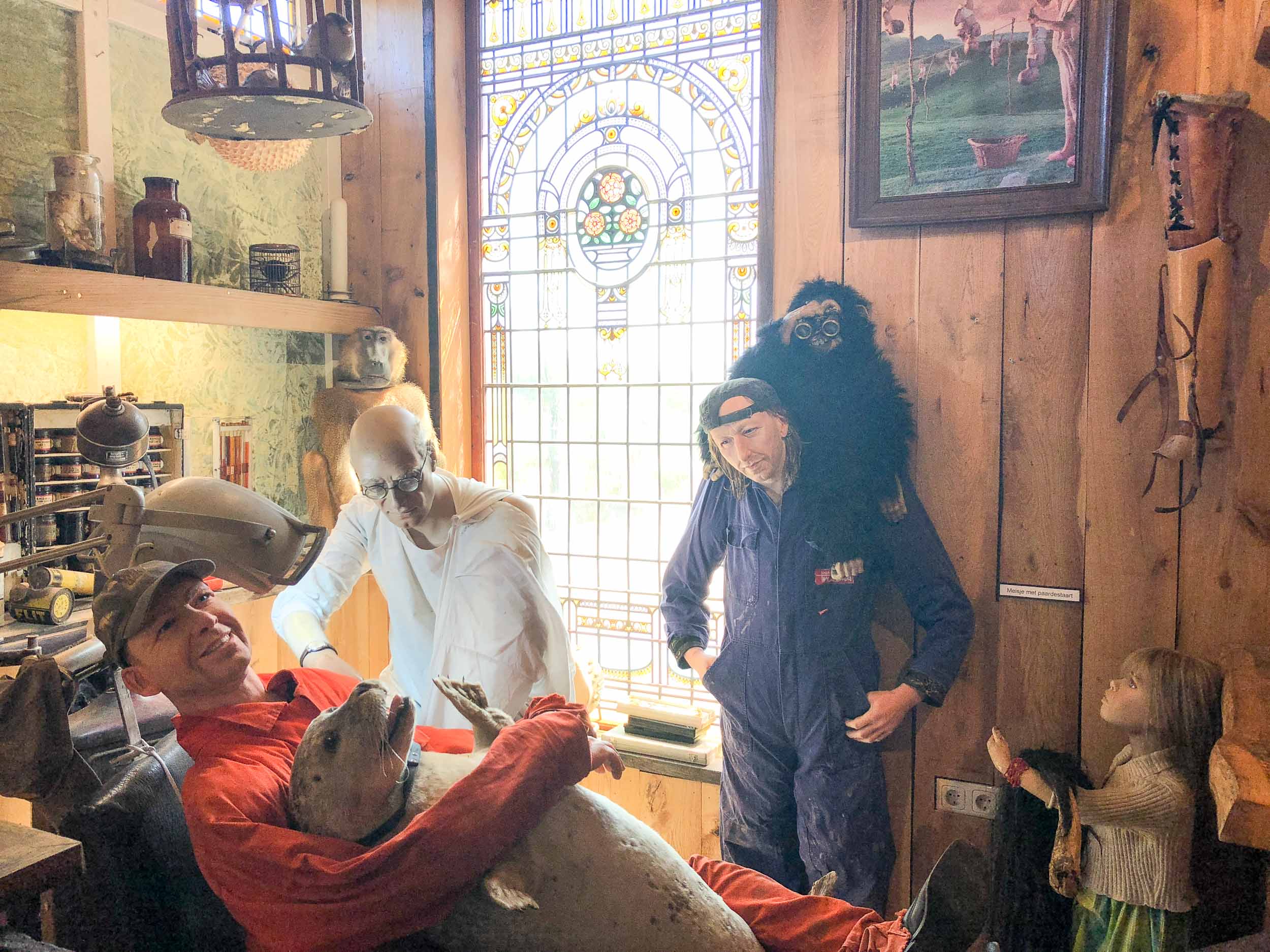 Rariteitenkabinet Schiermonnikoog