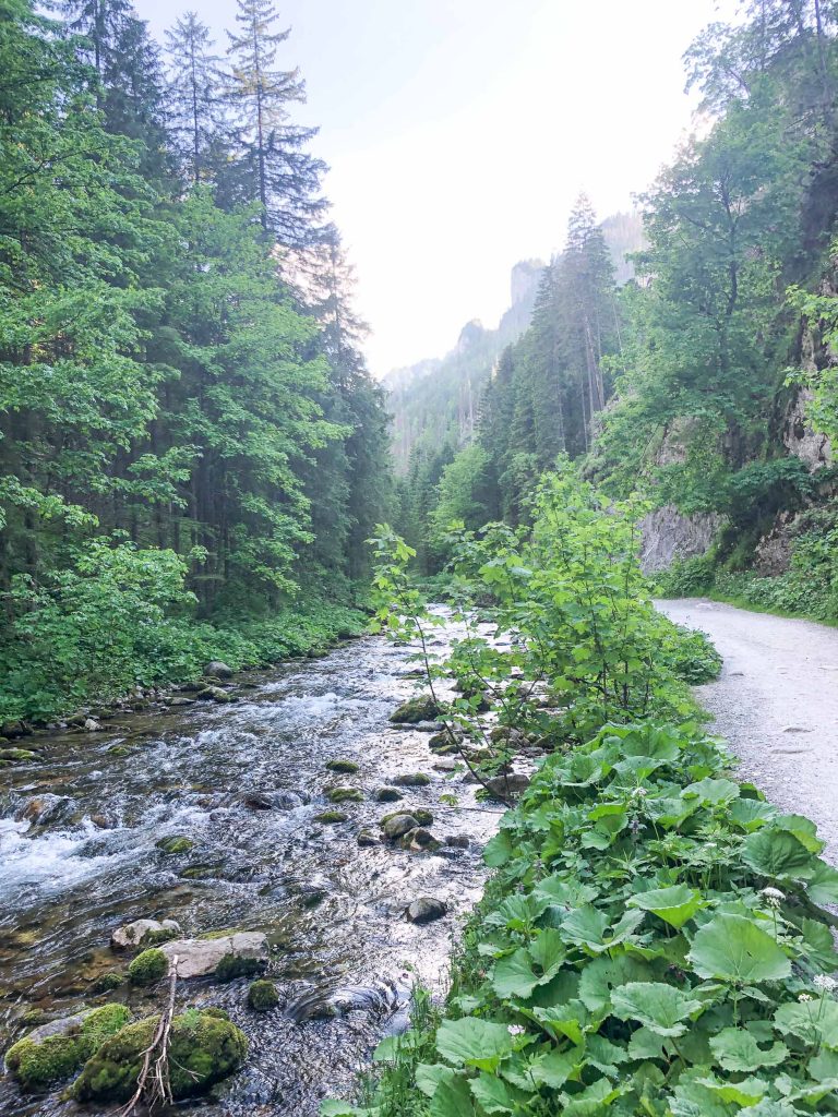 Tatra Gebergte Polen