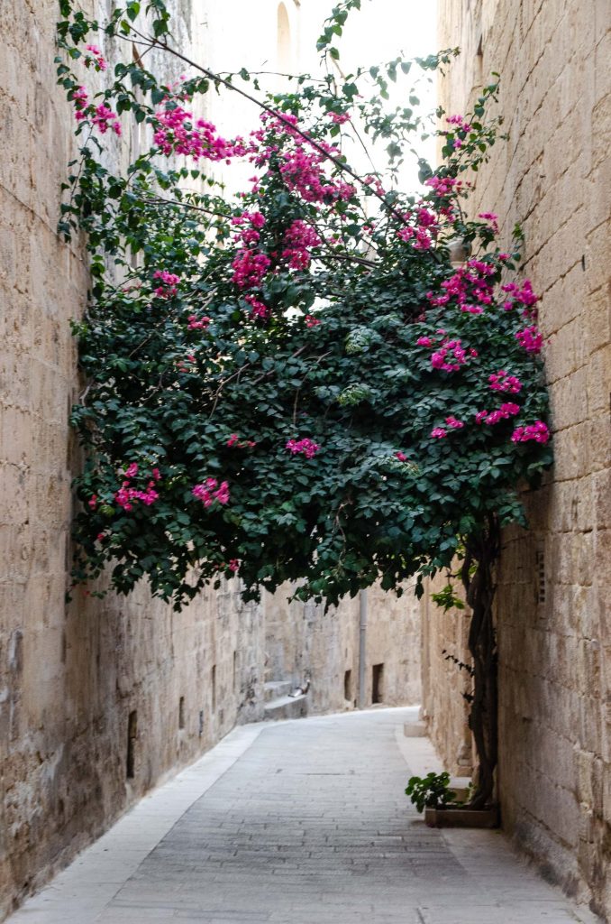 Mdina de oude hoofdstad op Malta