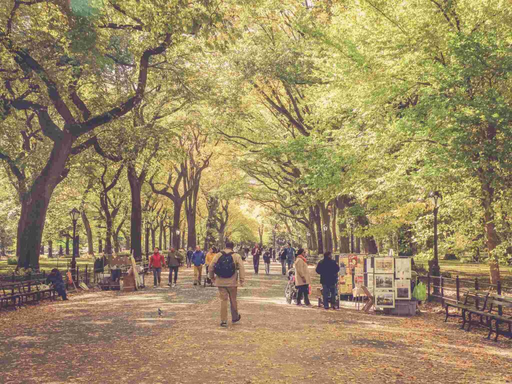 Central Park New York