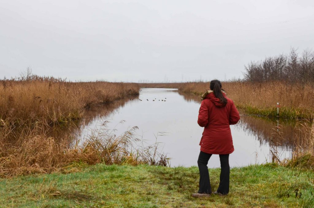 Fjällräven Nuuka Parka review