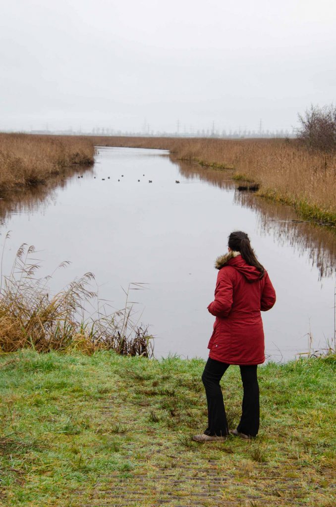 Fjällräven Nuuka Parka review