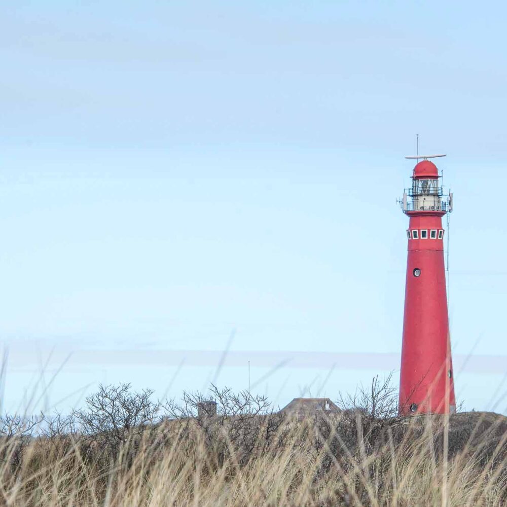 Dagje Schiermonnikoog
