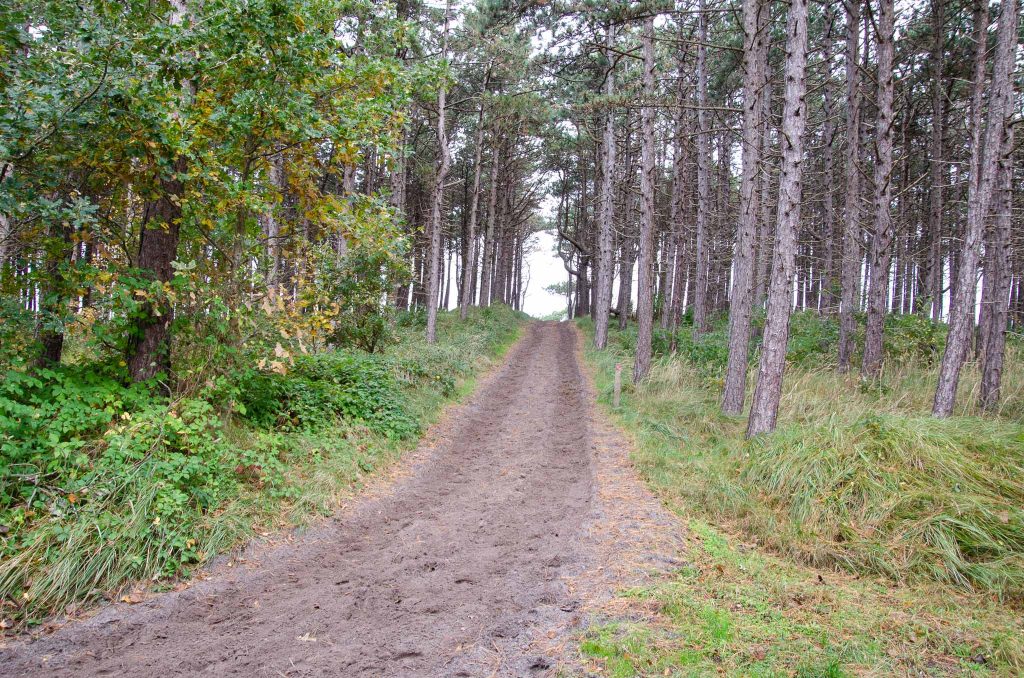 Overnachten Terschelling