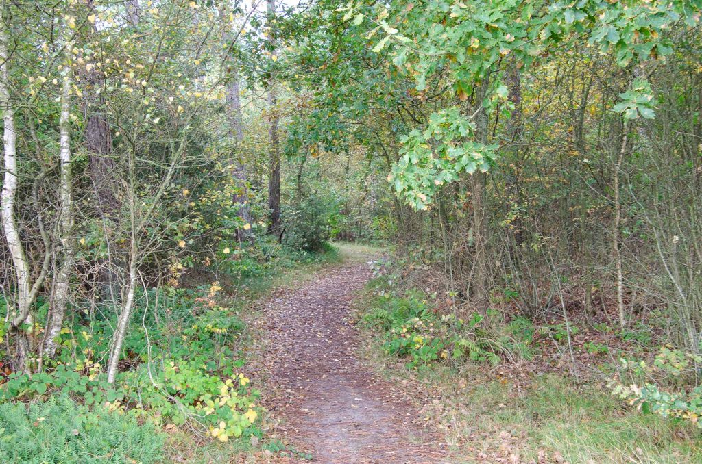Overnachten Terschelling