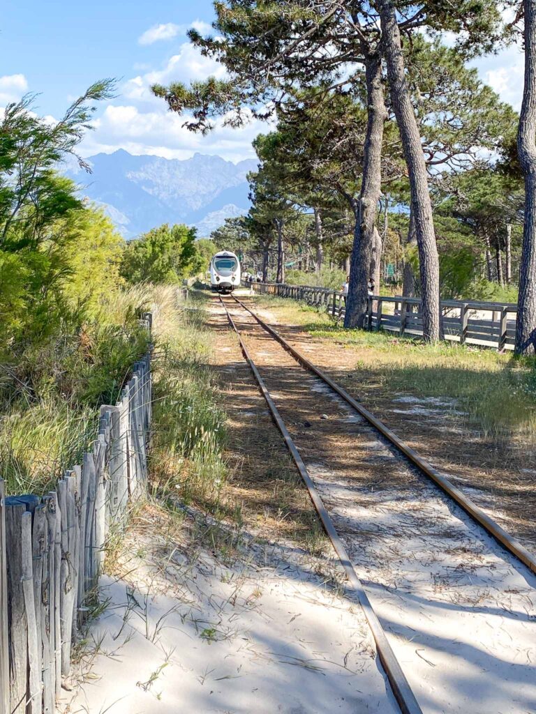 Reizen met de trein op Corsica