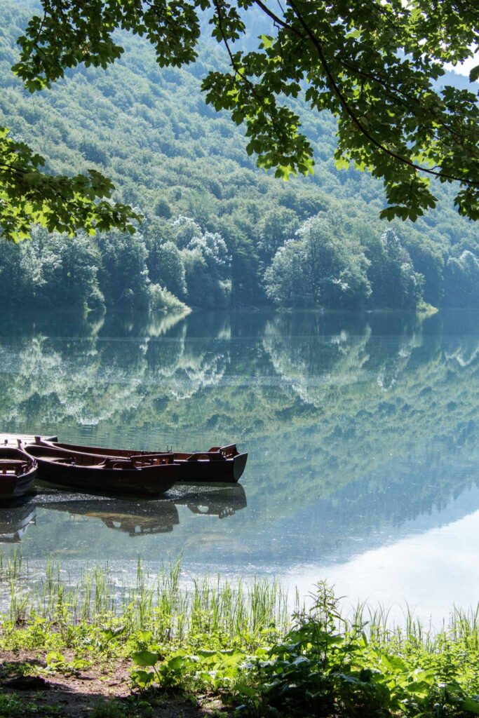 Biogradska National Park