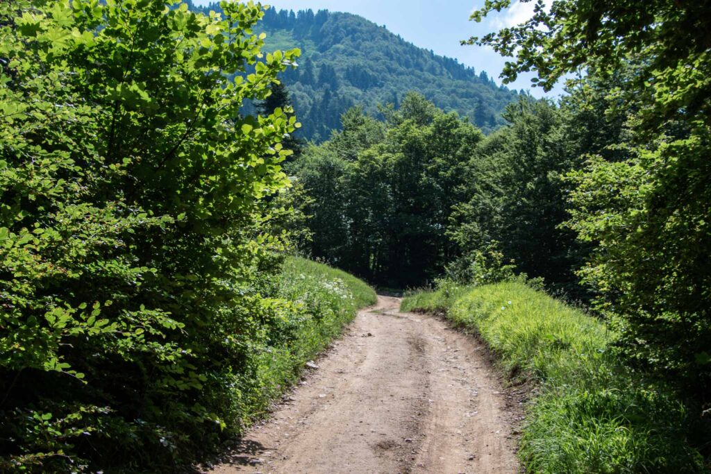 Biogradska National Park