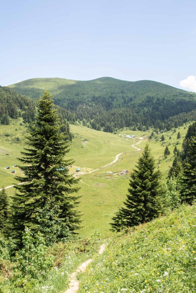 Biogradska National Park