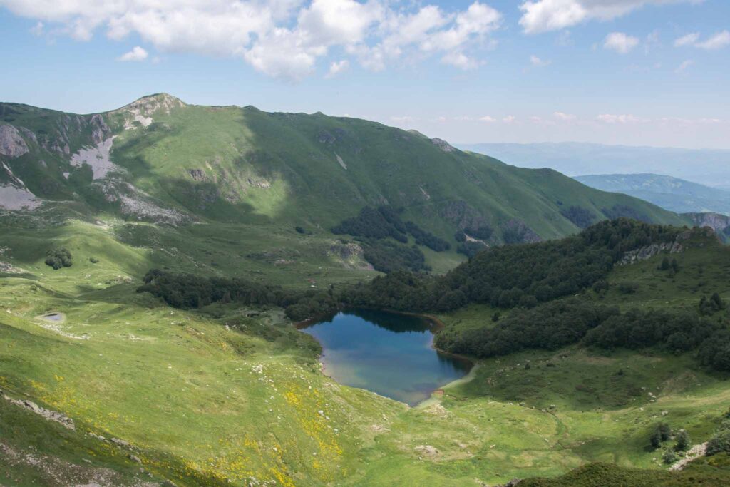 Biogradska National Park