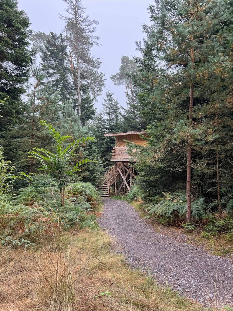 Les Cabanes du Lac de Pierre-Percée