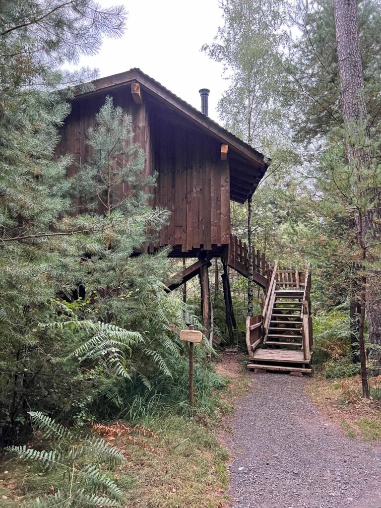 Les Cabanes du Lac de Pierre-Percée