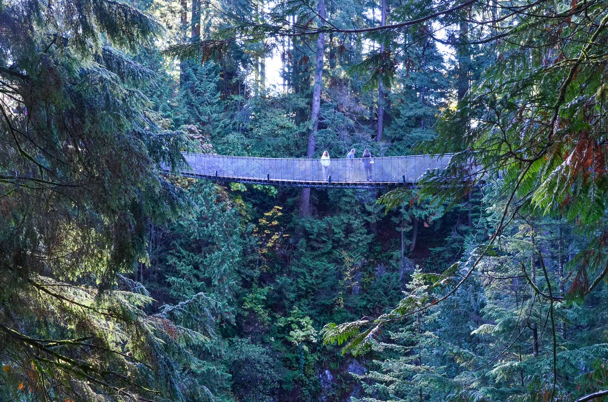 Capilano Suspension Bridge