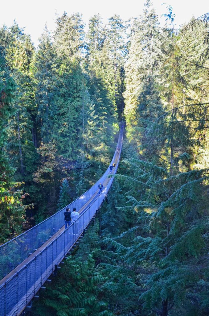 Capilano Suspension Bridge