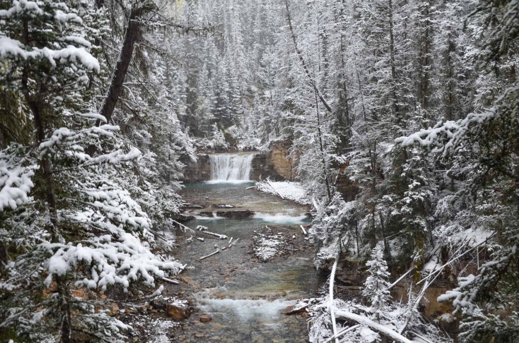 Johnston Canyon