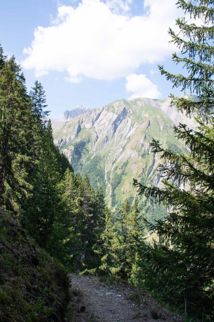 Les Vallée des Belleville