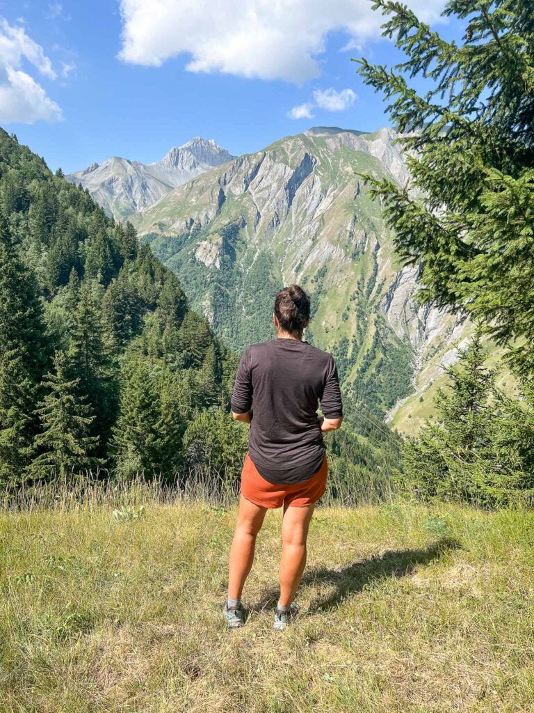 Les Vallée des Belleville