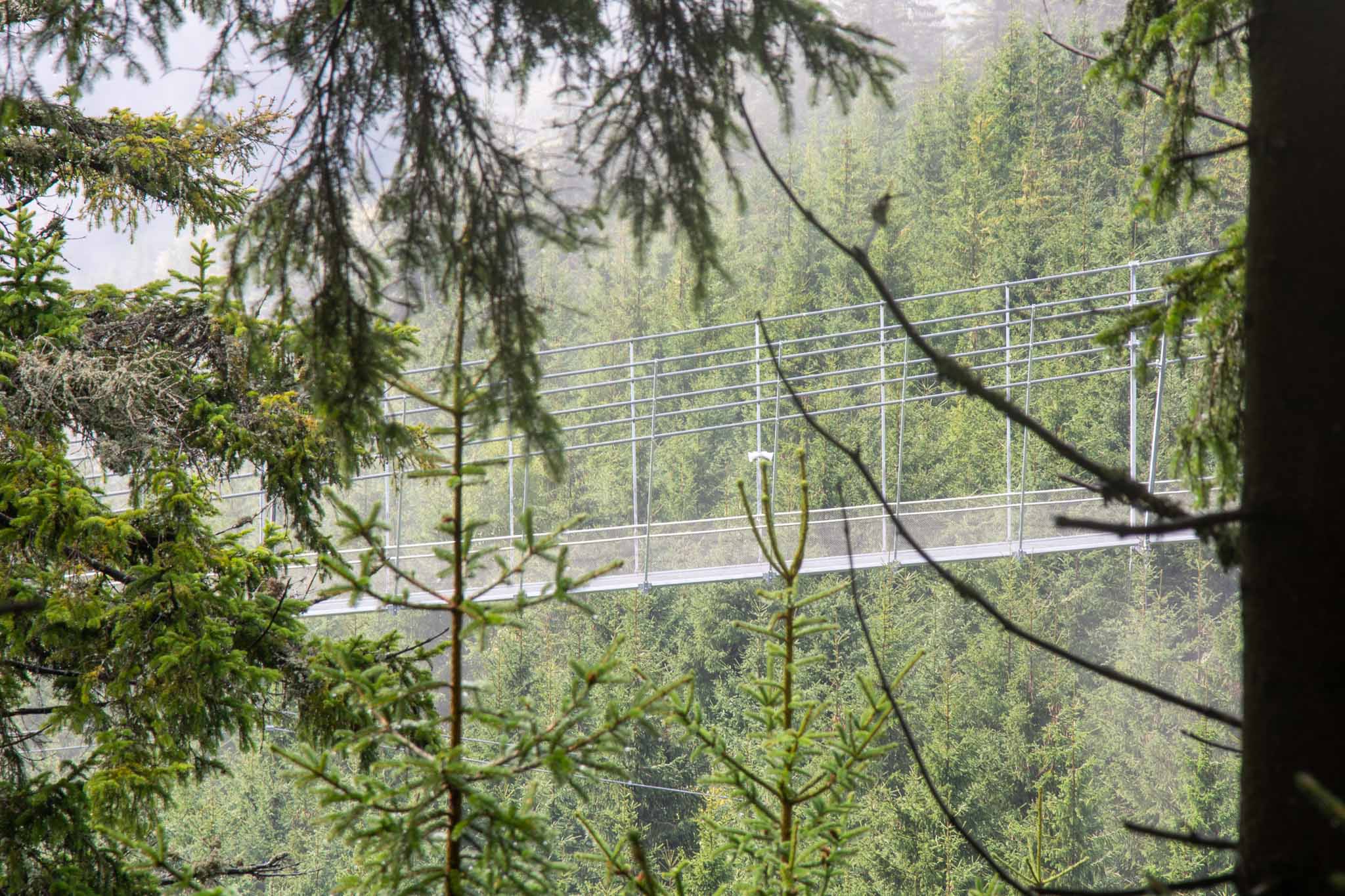 Sky Bridge 721