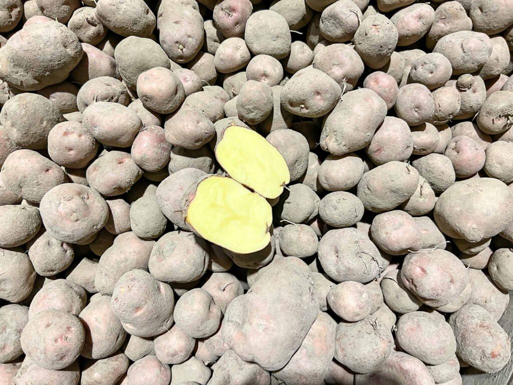 Culinaire Wadden Weken