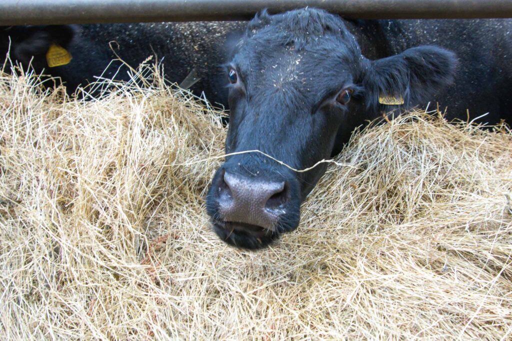 Culinaire Wadden Weken