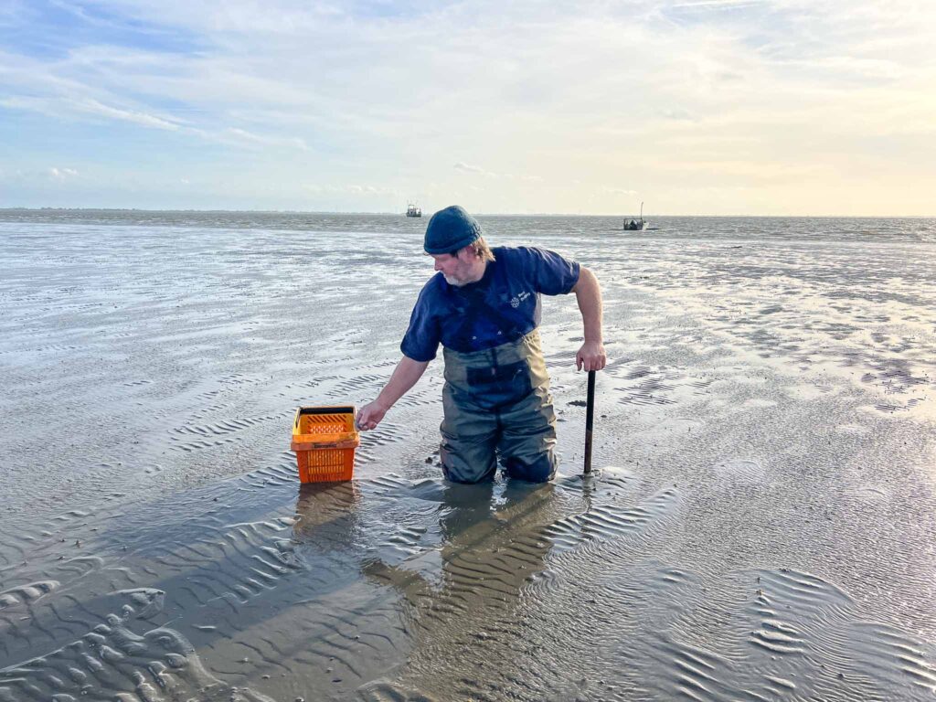 Culinaire Wadden Weken