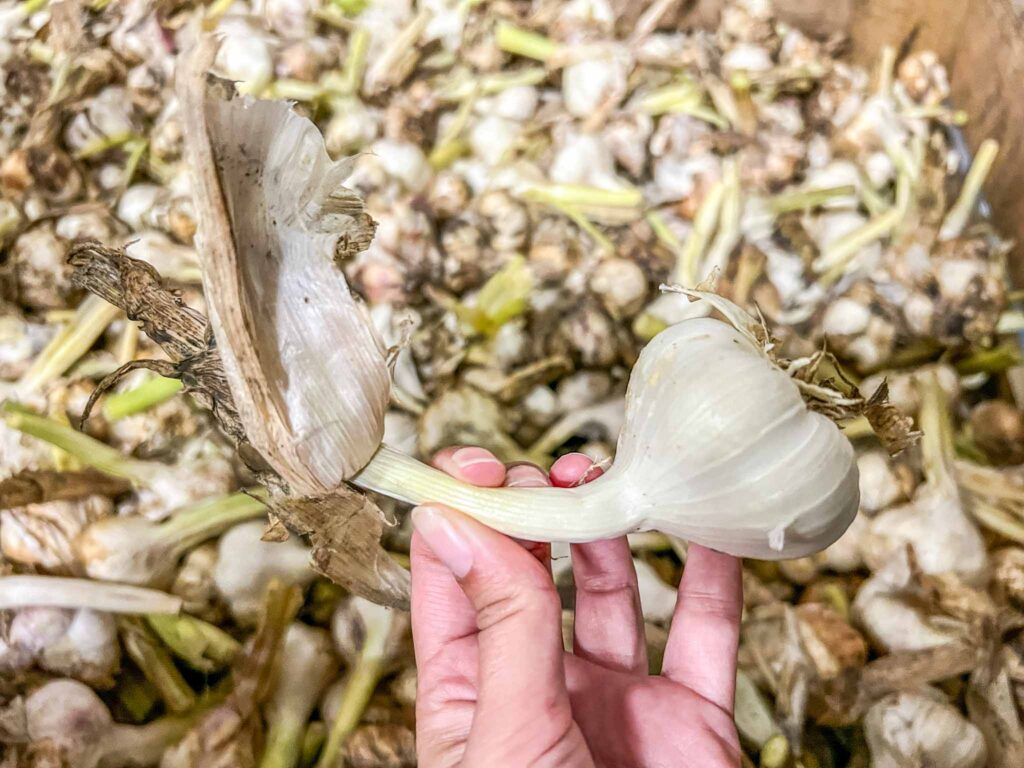 Culinaire Wadden Weken