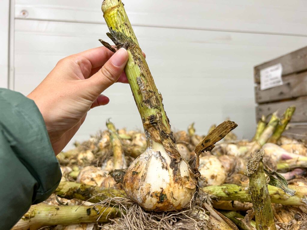 Culinaire Wadden Weken