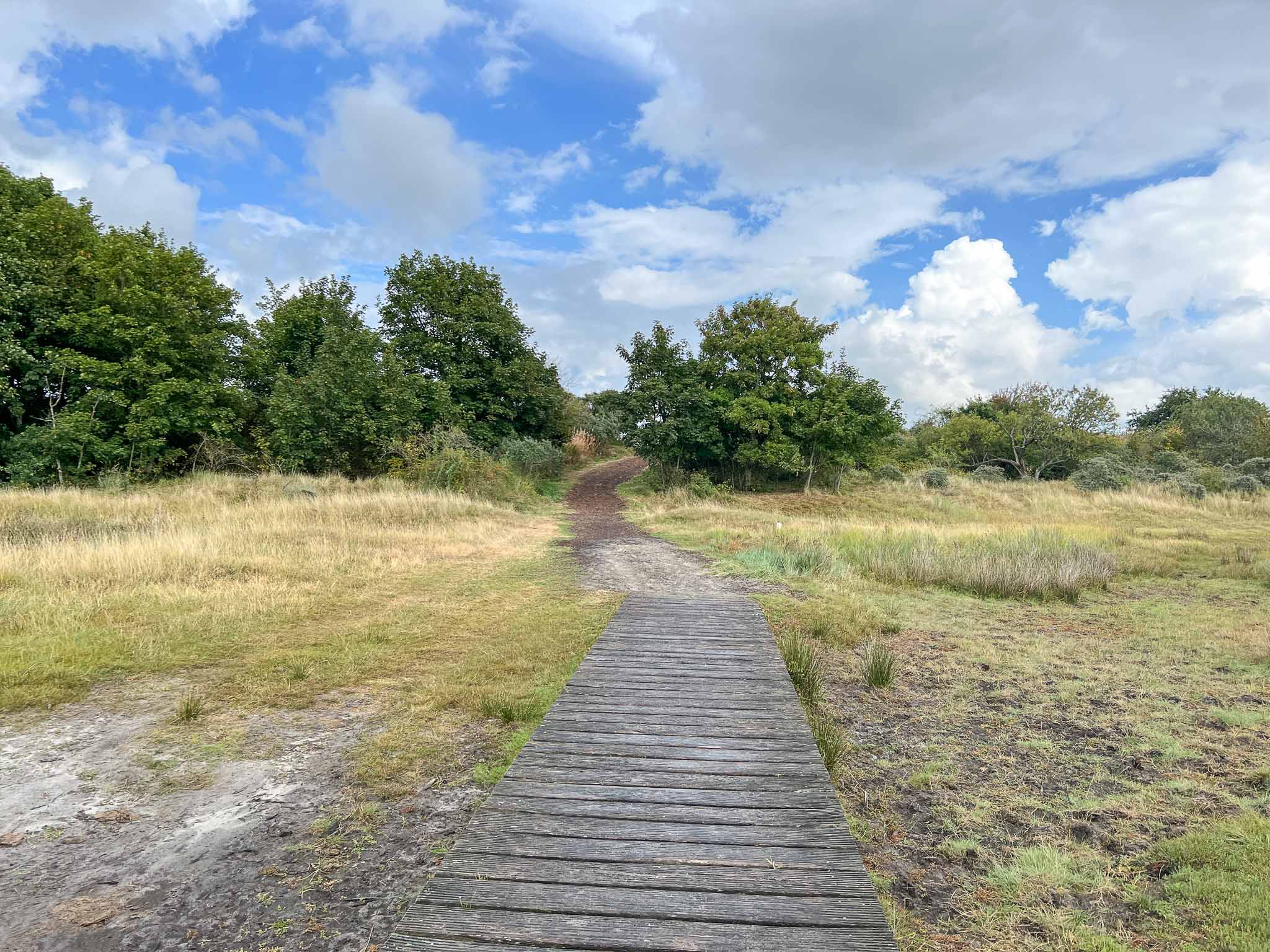 Kobbeduinen op Schiermonnikoog