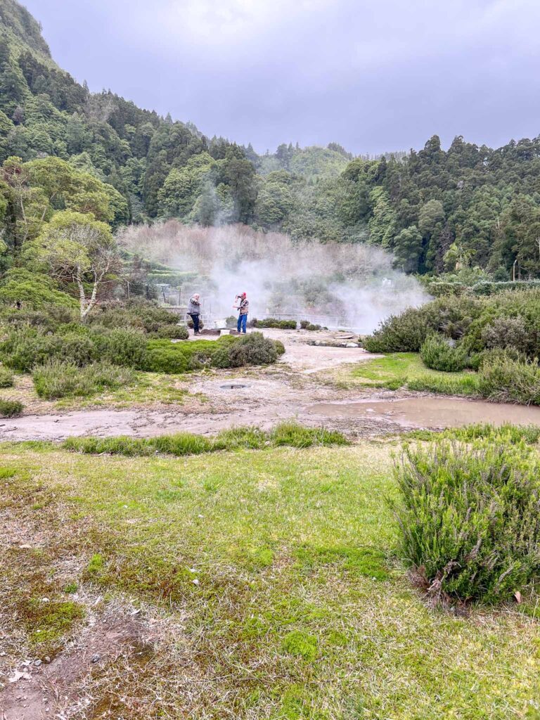 Furnas