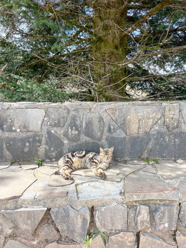 PR1- Pico do Arieiro to Pico Ruivo