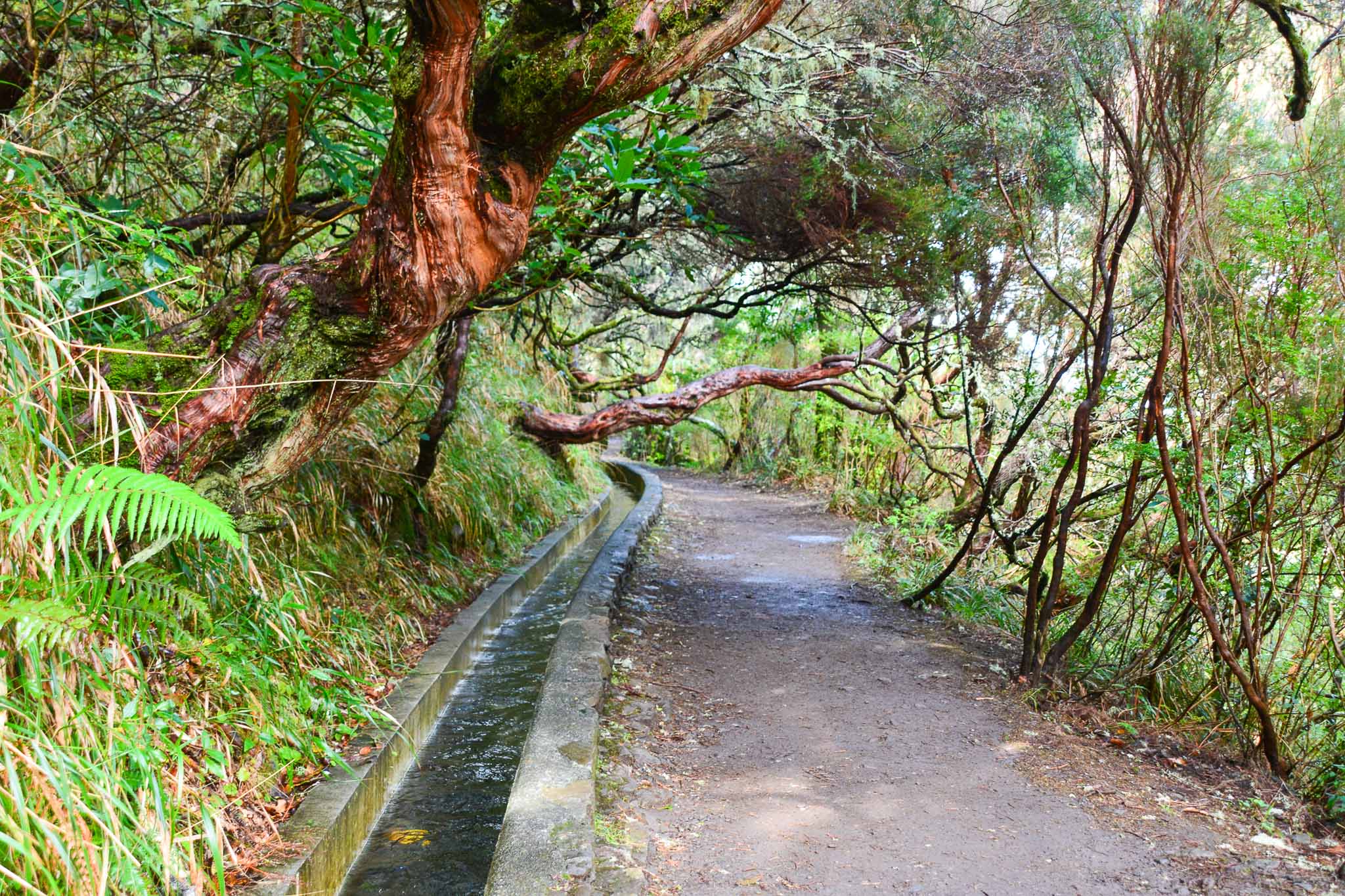 PR6 Verada das 25 Fontes