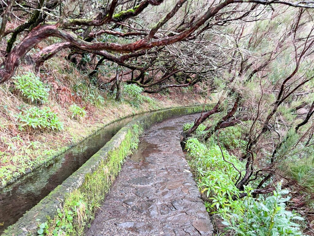 PR6 Verada das 25 Fontes