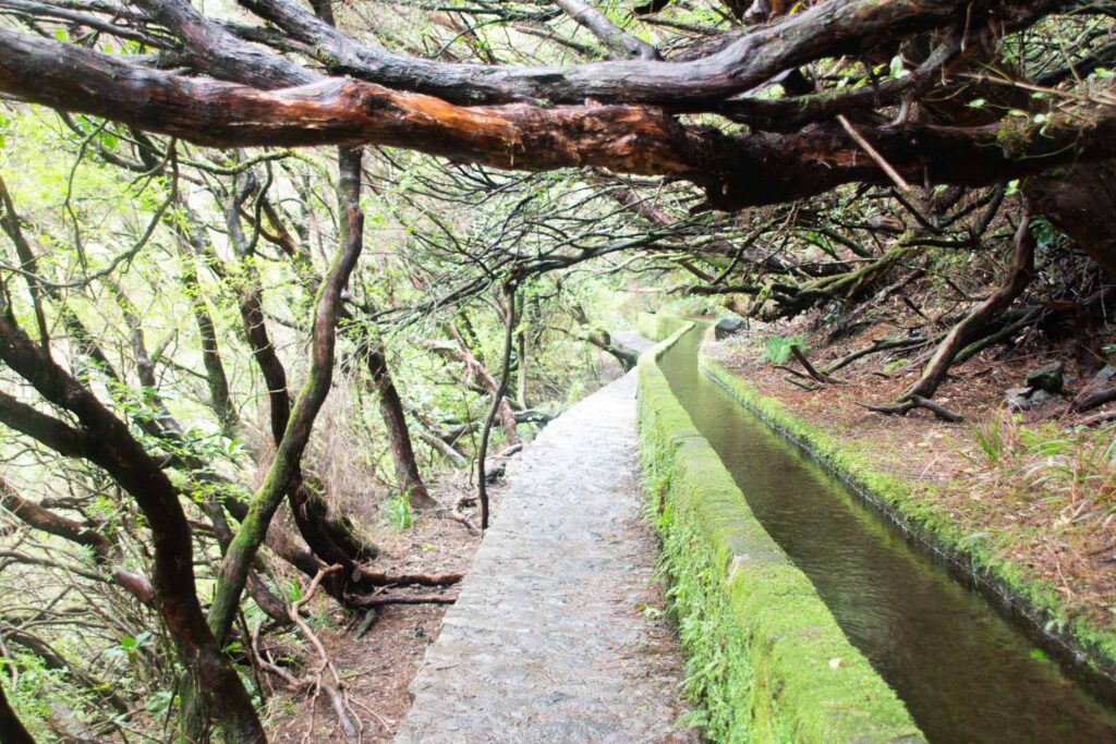 PR6 Verada das 25 Fontes