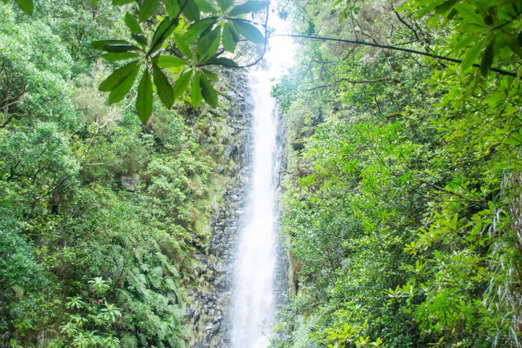 PR6 Verada das 25 Fontes