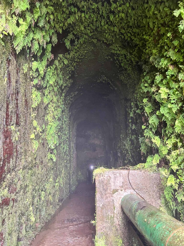 PR6 Verada das 25 Fontes